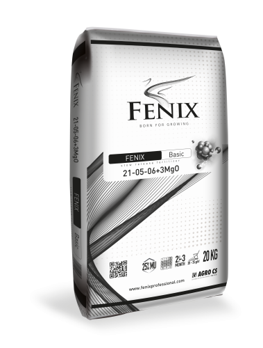 Fenix_Basic_Black_2021-2.png