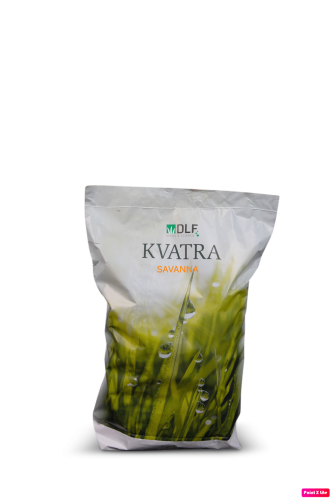 KVATRA SAVANNA.png