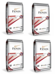 ZESTAW CAŁOROCZNY NAWOZÓW FENIX  4X20 kg
