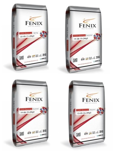 Fenix pakietx4.jpg